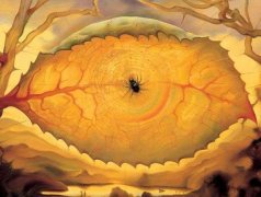 【心理双关图】一片树叶还是眼睛